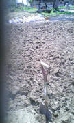 20120513120239.jpg