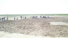 2012051311150000.jpg