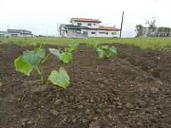 DSCN1042.JPG