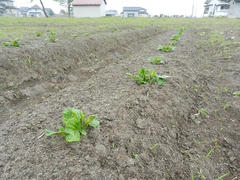 DSCN1045.JPG