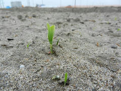 DSCN1052.JPG