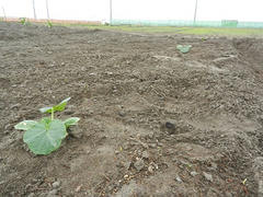 DSCN1051.JPG