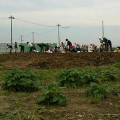 IMG00024-1.jpg