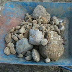 IMG00029-1.jpg