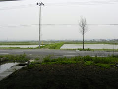 DSCN1058.JPG