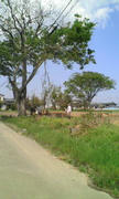 20120519124640.jpg