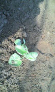 20120520154213.jpg