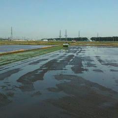 IMG00032-1.jpg