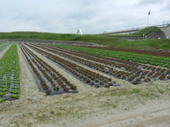 DSCN1082.JPG