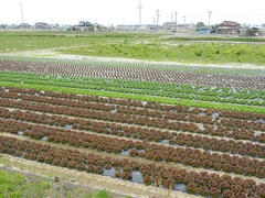 DSCN1083.JPG