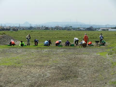 DSCN1101.JPG