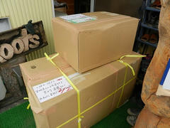 DSCN1106.JPG