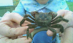 20120525145128.jpg