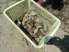 DSCN1132.JPG