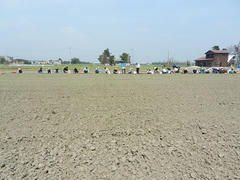 DSCN1146.JPG