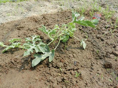 DSCN1144.JPG