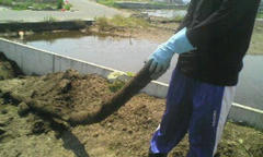 20120602131102.jpg