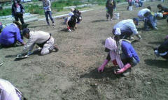 20120602142333.jpg