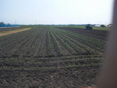 120602_143243.jpg