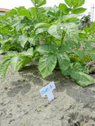 DSCN1156.JPG
