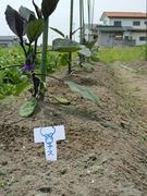 DSCN1157.JPG