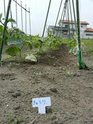 DSCN1159.JPG
