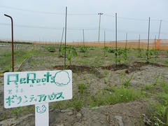 DSCN1160.JPG