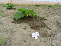 DSCN1162.JPG
