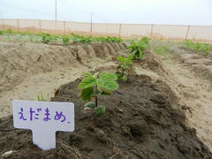 DSCN1164.JPG