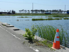 DSCN1176.JPG