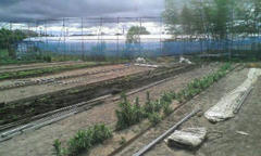 20120610144857.jpg