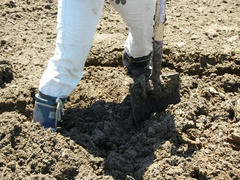 DSCN1188.JPG
