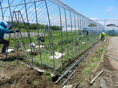 DSCN1189.JPG