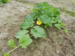 DSCN1194.JPG