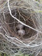 2012061414430000.jpg