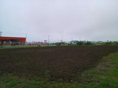 201206161.jpg