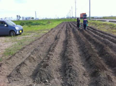 20120617.JPG