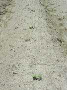 DSCN1211.JPG