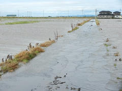 DSCN1229.JPG