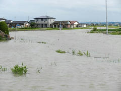 DSCN1236.JPG
