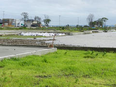 DSCN1240.JPG