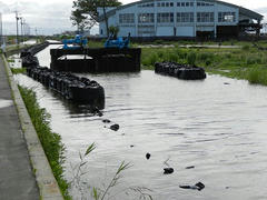 DSCN1250.JPG
