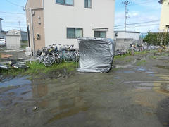 DSCN1254.JPG