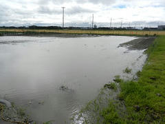 DSCN1248.JPG
