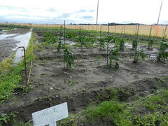 DSCN1249.JPG