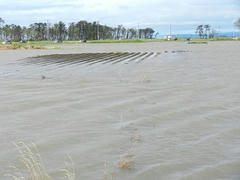 DSCN1241.JPG