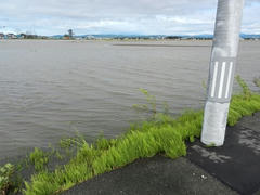 DSCN1242.JPG