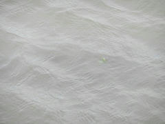 DSCN1245.JPG