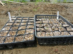 DSCN1263.JPG