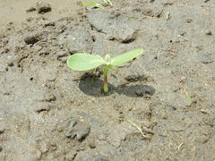 DSCN1262.JPG